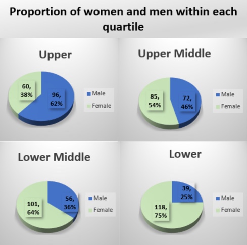 Chart for proportion of women and men within each quartile